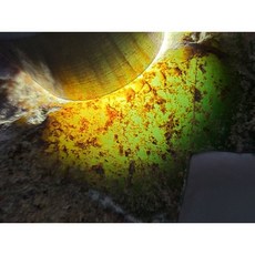 瓜地馬拉七彩翡翠原石 脫砂冰種 180克 牌子戒面材料, 1個