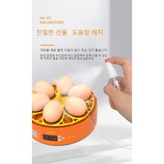 NEW 병아리 부화기 병아리 부화 병아리 키우기 달걀 꿩 메추리 계란 비둘기, 6 경험 모델 (수동 계란 회전), 1개