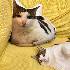 주문제작 삑삑이 녹음인형 포토쿠션 키링 6cm, J. 비뚤어진 미소, B. 다른 사양, 1개