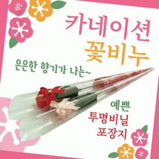 장미 한송이 비누꽃 카네이션 선물 로즈데이 감사, 카네이션비누꽃(OPP형-핑크), 1개