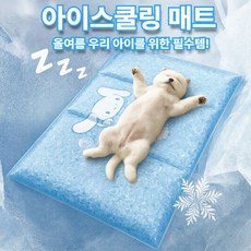 [우리아이 필수템] 벤스투 강아지 고양이 아이스쿨링 젤매트, 1개