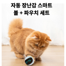 고양이용 자동 장난감 스마트 볼 + 파우치 세트, 그린, 1세트
