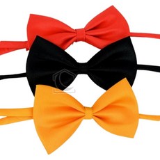 나비넥타이 소형 스쿨룩