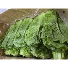 약수농장 국내산 청상추4kg, 1개, 4kg