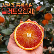 붉은과육 안토시아닌 제주 블러드오렌지, 1박스, 혼합과 2kg