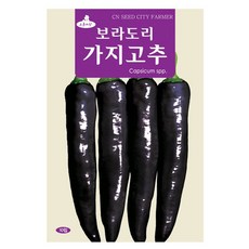 가지고추 씨앗 가지고추씨 10립, 2개