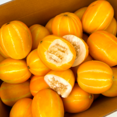 [2주한정특가] 성주산지직송 18brix 못난이 성주참외, 1박스, 3kg (실속혼합)