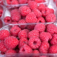 햇 산딸기 새벽수확 새콤달콤 탱글탱글 입안에서 톡 터지는 생 산딸기, 4개, 250g