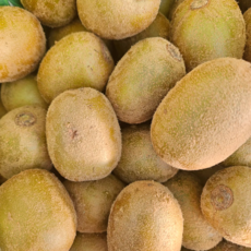 골드키위 국내산 골드키위 국산 골드키위, 1박스, 국내산 골드키위 5kg 소 (개당 50-60g)