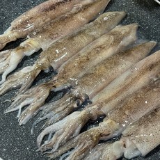 통찜용 총알 한치 1kg 2kg 3kg