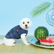 BYC 개리야스 모시메리 ODM0002 204392, NY(네이비)204392