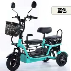 삼륜 전기 자전거 성인 애견 동반 출퇴근 산책 스쿠터, A. 48V, D. 블루 리튬 배터리 5A 30km 주행