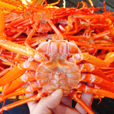 국내산 후포리 자숙 제철 홍게 당일작업, 1개, 육수용 3.5kg 8-12미 내외 수율 60%