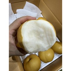 원황배 아삭 시원한 새콤달콤, 1박스, 5kg