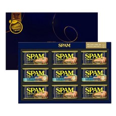 CJ제일제당 스팸 8호 선물세트 선물용종이봉투포함, 1세트