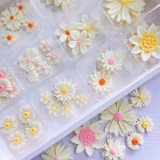 화이트 컬러 포인트 데이지 플라워 초콜릿 케이크 디저트 데코 장식 48개입, 옵션 09