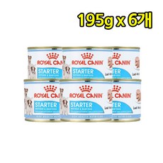 로얄캐닌 독 미니 스타터 M&B 캔 195gx6개, 6개