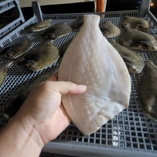 반건조 노랑가자미 특대 크기20cm내외 고객감사중 보령명물 녹도수산, 반건조 가자미 20cm 내외 / 4마리, 1세트