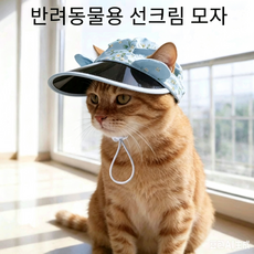 Lavitree강아지 고양이 귀여운 귀 모양 썬캡, 1개, A