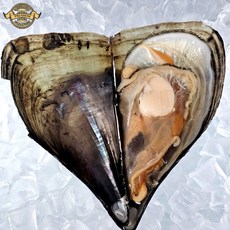 [품질 보장 자연산 하프셀 키조개] 거제도 국내산 자연산 키조개 손질 키조개 하프쉘 키조개 특대 25cm 내외 프리미엄 신선도 보장, 1개, 프리미엄 자연산 키조개 1미(25cm 내외 하프셀)