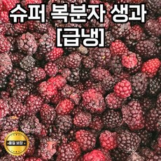 국내산 햇 급냉 슈퍼복분자 블랙베리 햇복분자 개량복분자 냉동복분자 블루베리열매 복분자생과, 1박스, 5kg