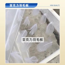 亞克力羽毛板 壓克力板 裝飾板, 1個, 【亞克力羽毛板】樣品價