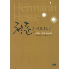 청춘은 아름다워라, 문지사, 헤르만 헤세 저/홍석연 역