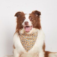 낑콩 반려동물 강아지 애견 스카프, Orange(주황), 1개