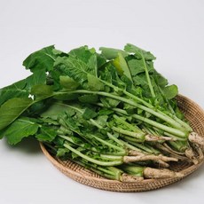 하나의팜 아삭한 국내산 열무 어린열무, 1박스, 2kg