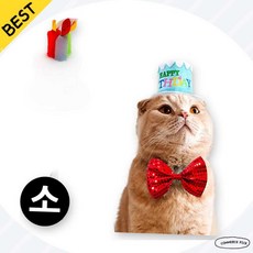 강아지생일머띠 펫파티용품 생일축하소품 반려견머리띠 블루소사이즈 픽앤코401