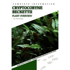 (영문도서) Cryptocoryne Beckettii: From Novice to Expert. Comprehensive Aquarium Plants Guide Paperback, Independently Published, English, 9798854362351