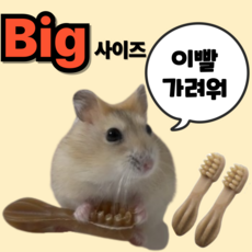 (BEST) 햄스터 이갈이 덴탈츄 칫솔 이갈이 간식 XS, 2세트