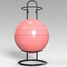 짐볼 거치대 2단 보관대 정리 필라테스 수납 헬스장, 골드