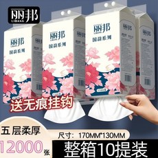 麗邦 懸掛式抽紙 家庭裝衛生紙 1200張 實惠耐用, 1個, 單提1200張【240抽*5層】,3提3600張：柔厚五層