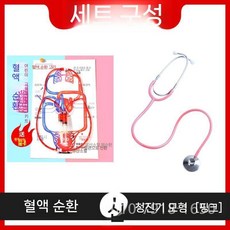 혈액 순환 모델 생물학적 실험 장비 교육 인체 해부학 심혈관 정맥 동맥, 혈액 순환 + 핑크 청진기