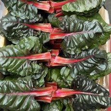 농진사 적근대 국내산 특품, 2kg, 1박스