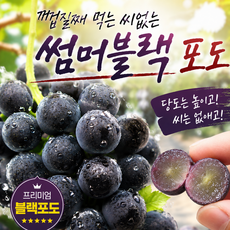 [최저가도전] 퓨어팜 꿀당도 22Brixx 이상! 씨없는 꿀당도 썸머블랙 포도, 1박스, 500g