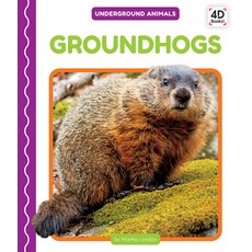 Groundhogs Library Binding, Pop!