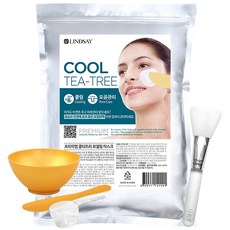 린제이 쿨 티트리 모델링팩 1kg+팩도구3종+실리콘 팩브러쉬, 1개입, 1개