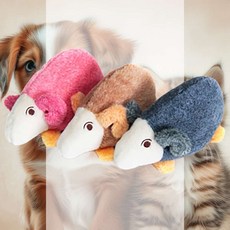 바스락 캣닢쥐 색상랜덤 본능 인형 간식 고양이 행동유도 냥이
