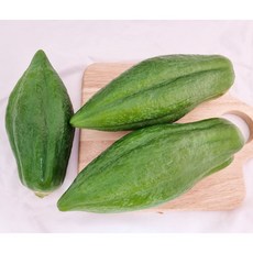 알라딘푸드 쏨땀 태국그린파파야 5kg, 5kg내외(8~10개), 1개