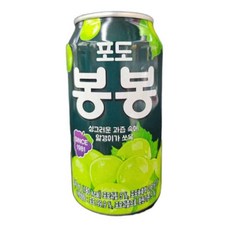 살림냥 포도 음료수 340ml 업소용음료, 1개