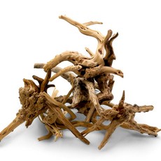 미미네아쿠아 브랜치 가지 유목 중 (20-30cm), 1개