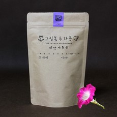 그림봉투화분 나팔꽃, 1개