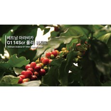 [1kg] 베트남 아라비카 G1 (생두) [원산지:베트남], 1개, 1kg