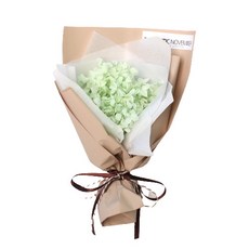 로맨틱노벰버 수국 비비드 미니꽃다발, 수국 비비드 미니사이즈 - 라이트그린