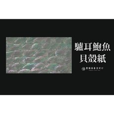 豐園漆藝資材行 貝殼紙 驢耳鮑魚, 1個