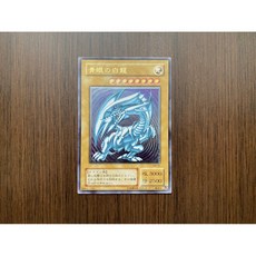 遊戲王 青眼白龍 浮雕 SM-51