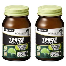 노구치 의학연구소 은행잎 & DHA EPA, 2개, 60정