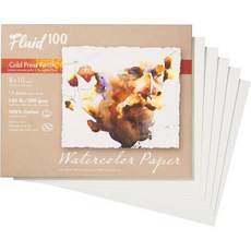 플루이드 100 아티스트 수채화 용지 100% 면 콜드 프레스 11 x 14 포셰트 8장 300파운드(640 GSM) 페인팅 및 습식 미디어용, 8 x 10 (140 lb)